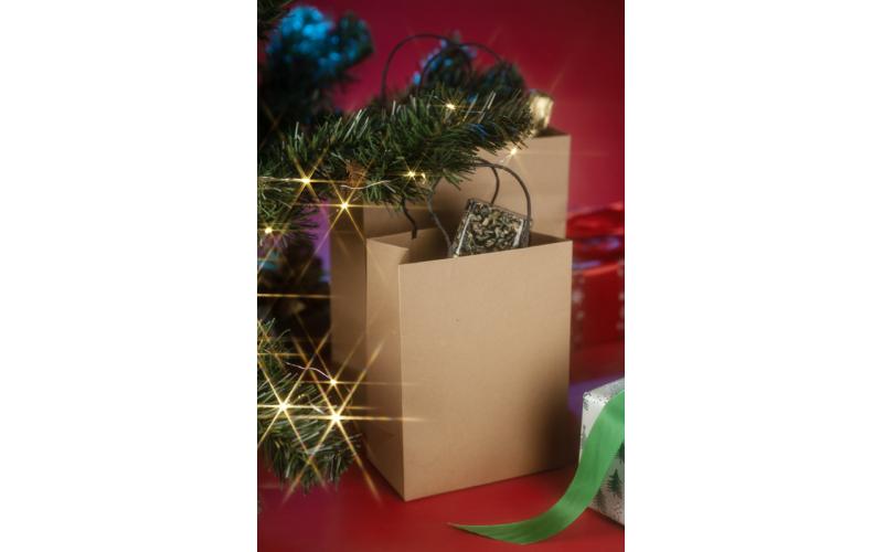 Torba papierowa PAKLO średnia