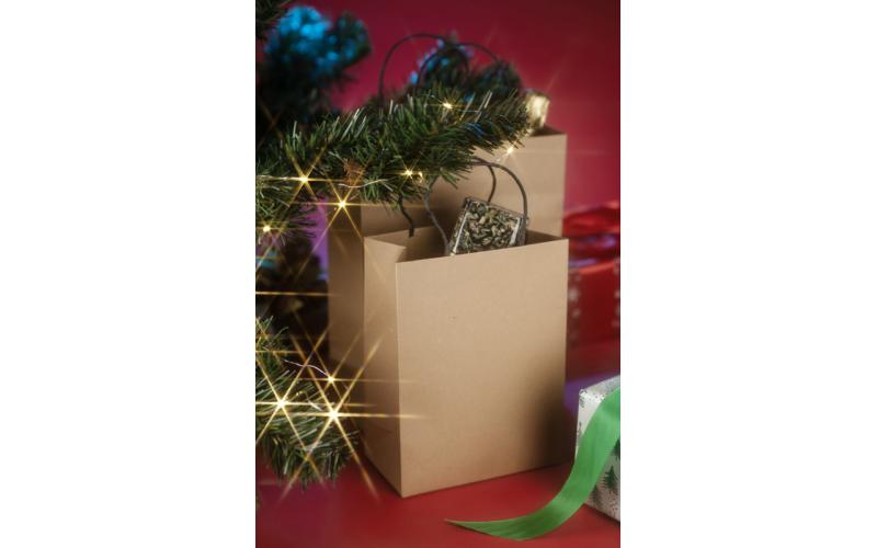 Torba papierowa PAKLO duża