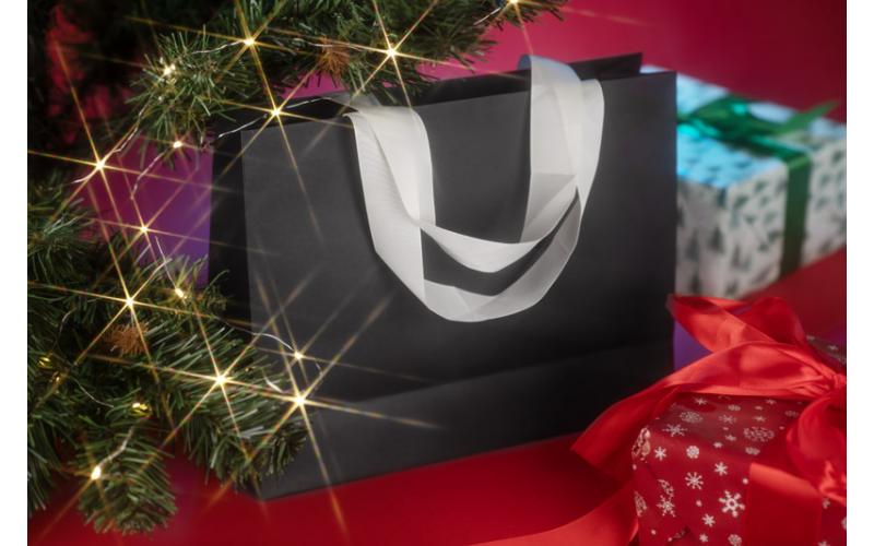 Torba papierowa DUNA duża