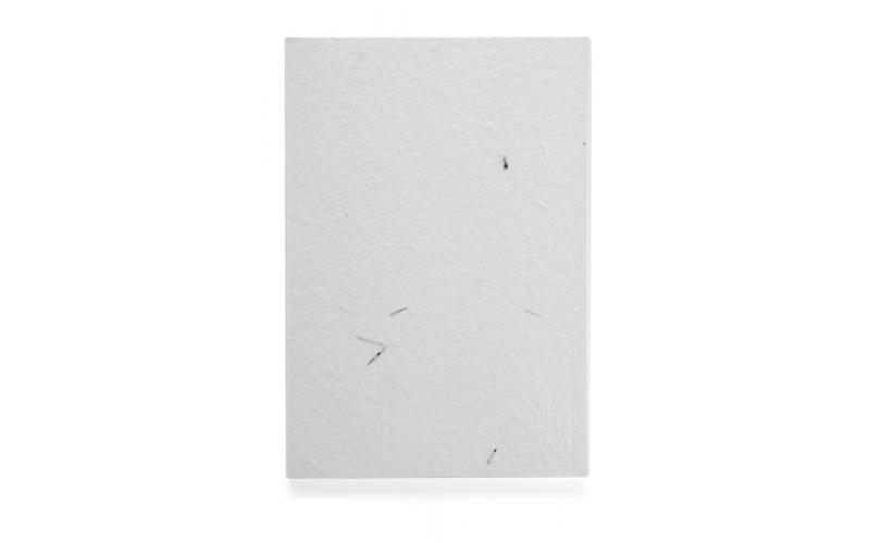 Notes MARIGOLD A5